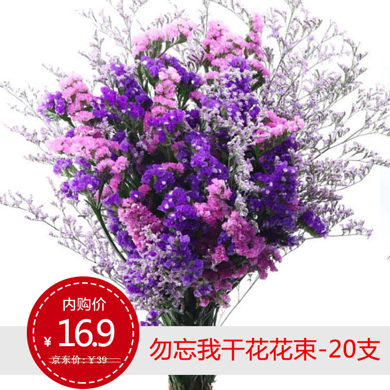 混搭 六色勿忘我  情人草(前50赠送随机花篮) 20支