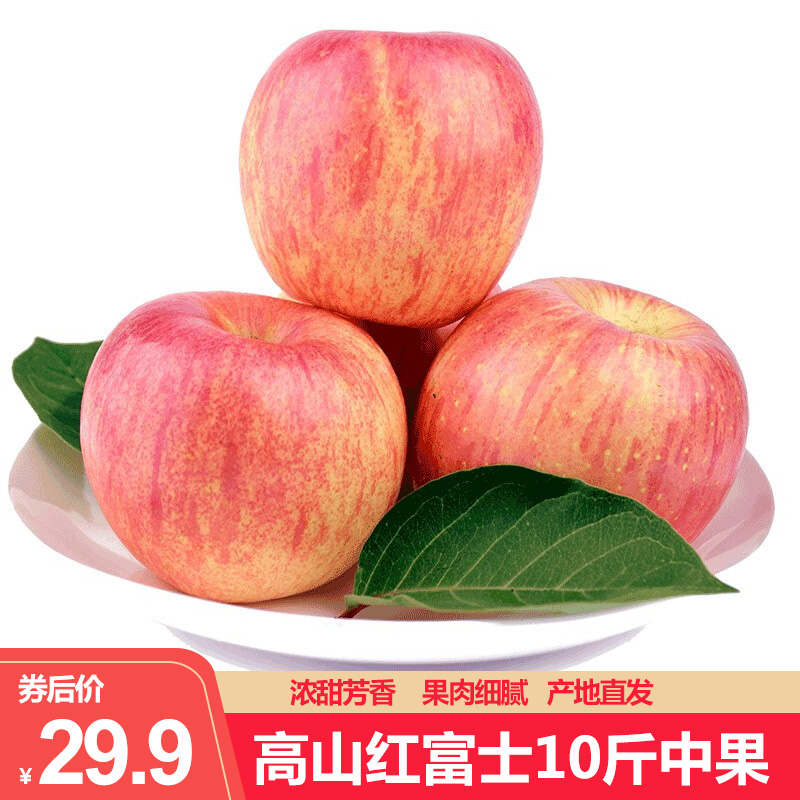 南京八卦洲芦蒿：一片绿色的宝藏