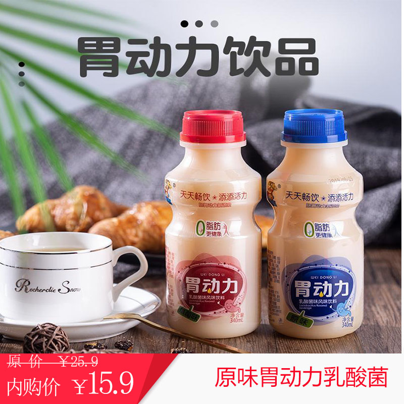 胃动力乳酸菌340ml*12瓶整箱饮料