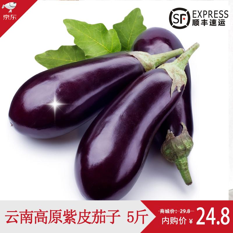 【楚雄扶贫馆】云南新鲜蔬菜长茄子露天种植 5斤装