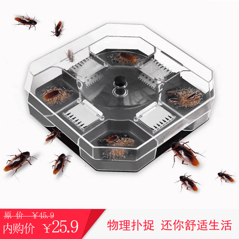 벶׽ղ¹Сȥ