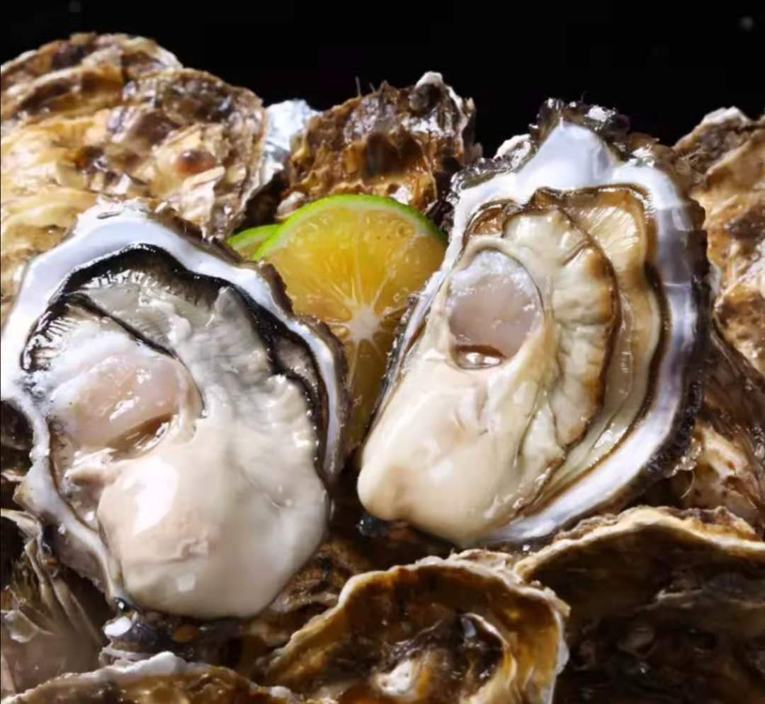 (捡漏价 59)【活鲜】南泓村 乳山生蚝鲜活 新鲜海蛎子 生鲜 贝类 刺身